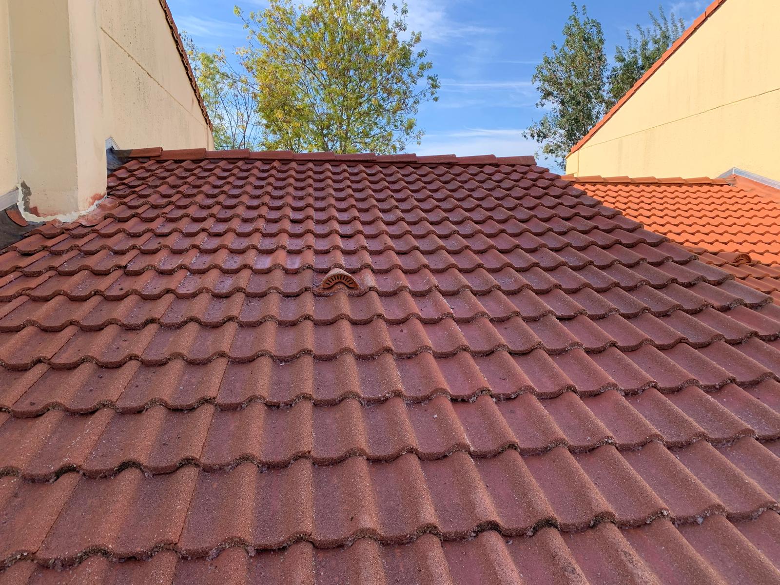 Traitement Anti-Mousse à Nantes - Klein Renov